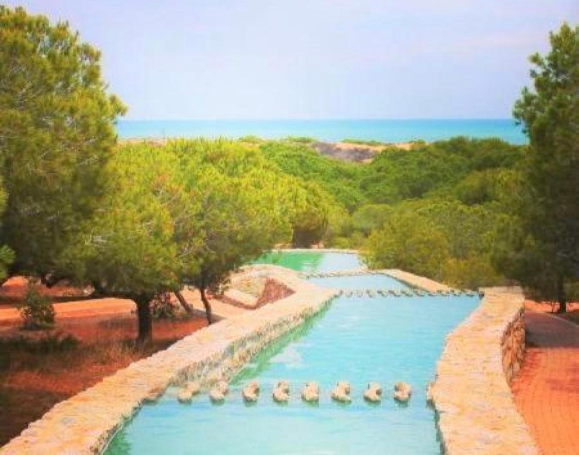 Apartment With Pool & Balcony Less Than 10Min Walk To La Mata Beach! Torrevieja Exterior foto